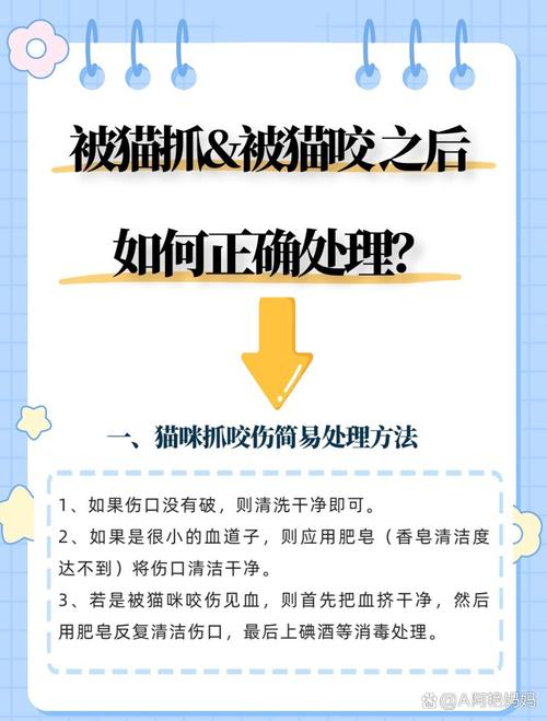 被猫咪抓出血了怎么办-被猫咪抓了出血了会不会有事-第9张图片 被猫咪抓出血了怎么办-被猫咪抓了出血了会不会有事-第9张图片