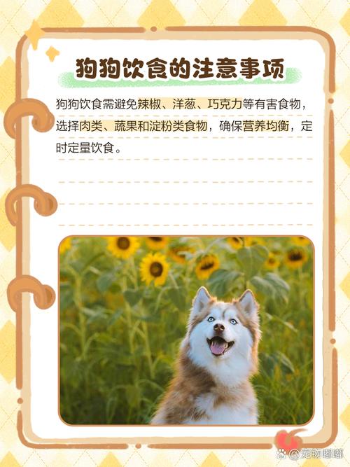 解析“狗狗可以吃辣的吗”你不知道的事-第1张图片 解析“狗狗可以吃辣的吗”你不知道的事-第1张图片