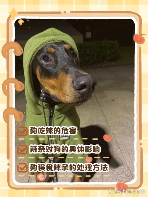 解析“狗狗可以吃辣的吗”你不知道的事-第3张图片 解析“狗狗可以吃辣的吗”你不知道的事-第3张图片
