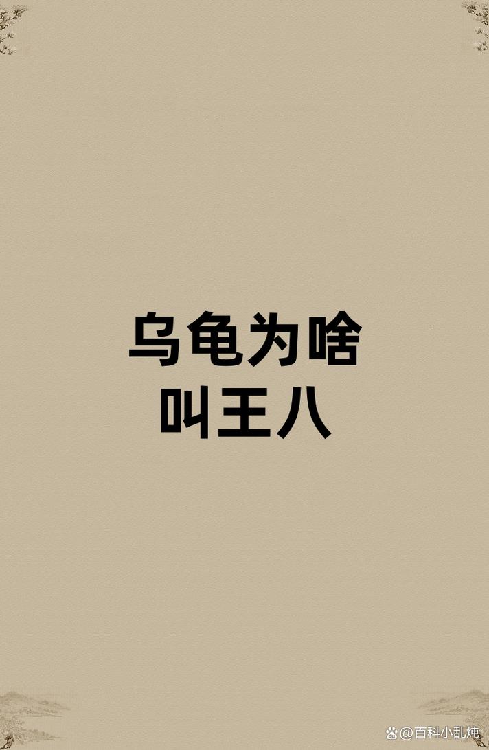 解析“王八是乌龟吗”你不知道的事