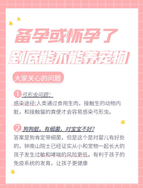 狗狗怀孕怎么照顾-狗怀孕了怎么护理