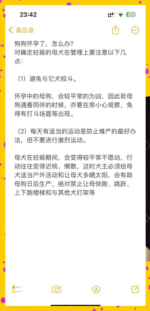 狗狗怀孕怎么照顾-狗怀孕了怎么护理-第4张图片 狗狗怀孕怎么照顾-狗怀孕了怎么护理-第4张图片