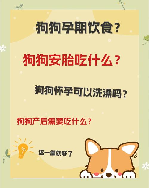 狗狗怀孕怎么照顾-狗怀孕了怎么护理-第5张图片 狗狗怀孕怎么照顾-狗怀孕了怎么护理-第5张图片