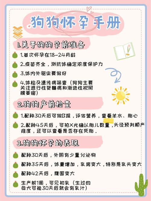 狗狗怀孕怎么照顾-狗怀孕了怎么护理-第6张图片 狗狗怀孕怎么照顾-狗怀孕了怎么护理-第6张图片