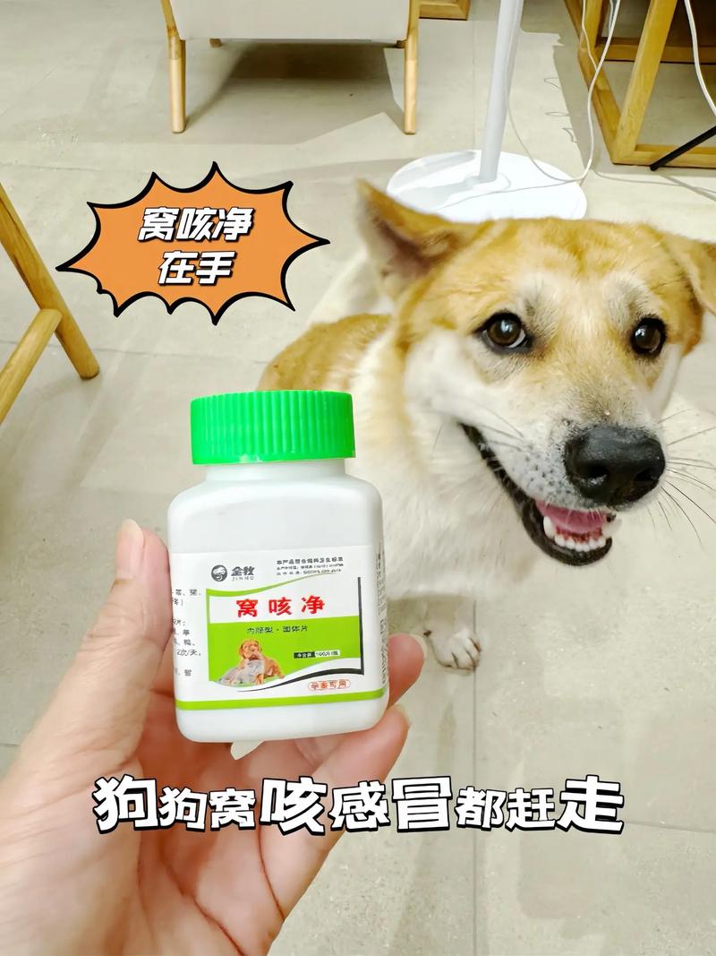 解析“狗狗呼吸道感染吃什么药”你不知道的事-第2张图片 解析“狗狗呼吸道感染吃什么药”你不知道的事-第2张图片