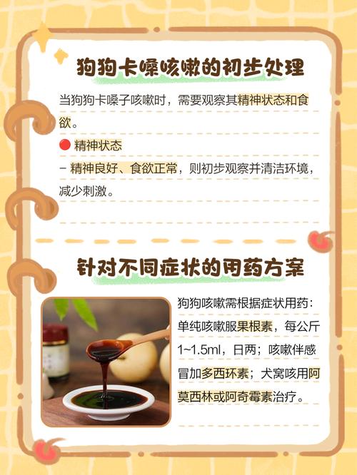 解析“狗狗呼吸道感染吃什么药”你不知道的事-第4张图片 解析“狗狗呼吸道感染吃什么药”你不知道的事-第4张图片