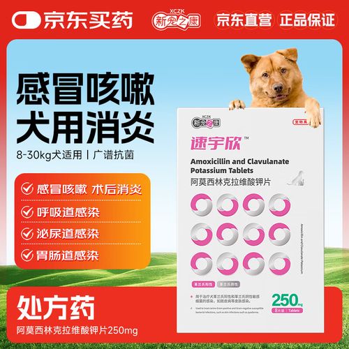 解析“狗狗呼吸道感染吃什么药”你不知道的事-第10张图片 解析“狗狗呼吸道感染吃什么药”你不知道的事-第10张图片