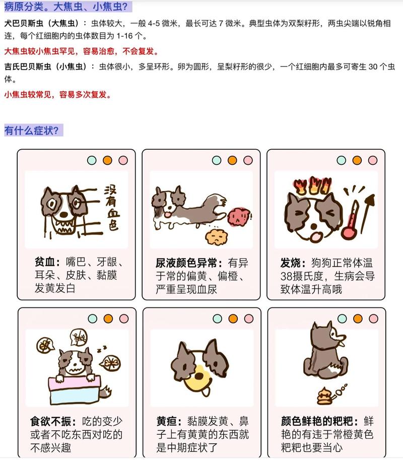 作为消费者“吉氏巴贝斯虫”你不能不知道-第2张图片 作为消费者“吉氏巴贝斯虫”你不能不知道-第2张图片