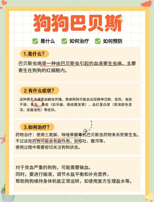 作为消费者“吉氏巴贝斯虫”你不能不知道-第9张图片 作为消费者“吉氏巴贝斯虫”你不能不知道-第9张图片