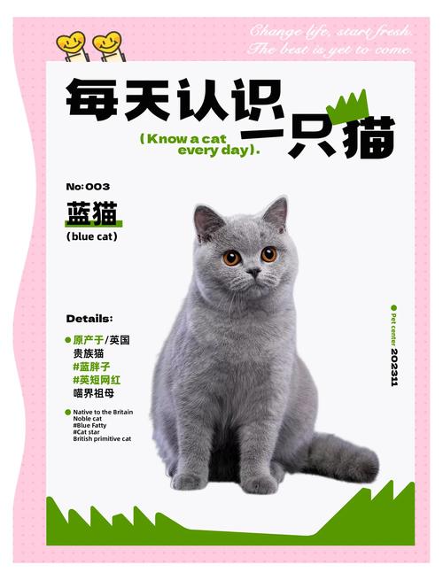 作为消费者“蓝色眼睛的猫咪名字”你不能不知道