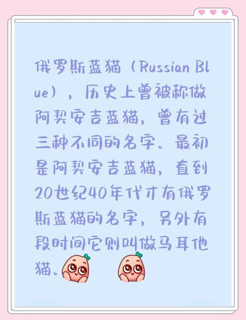 作为消费者“蓝色眼睛的猫咪名字”你不能不知道-第2张图片 作为消费者“蓝色眼睛的猫咪名字”你不能不知道-第2张图片
