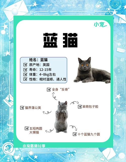 作为消费者“蓝色眼睛的猫咪名字”你不能不知道-第3张图片 作为消费者“蓝色眼睛的猫咪名字”你不能不知道-第3张图片