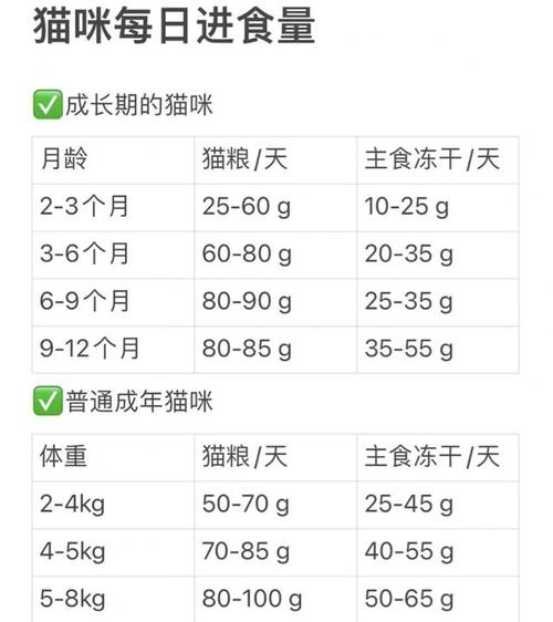 作为消费者“猫咪多久喂一次猫粮”你不能不知道-第5张图片 作为消费者“猫咪多久喂一次猫粮”你不能不知道-第5张图片