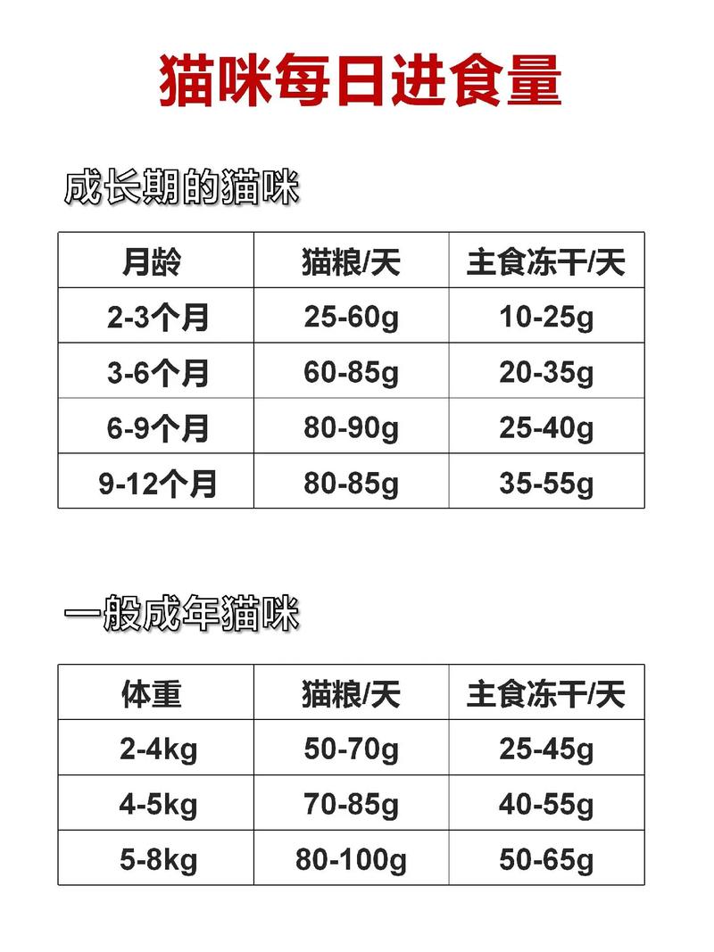 作为消费者“猫咪多久喂一次猫粮”你不能不知道-第6张图片 作为消费者“猫咪多久喂一次猫粮”你不能不知道-第6张图片