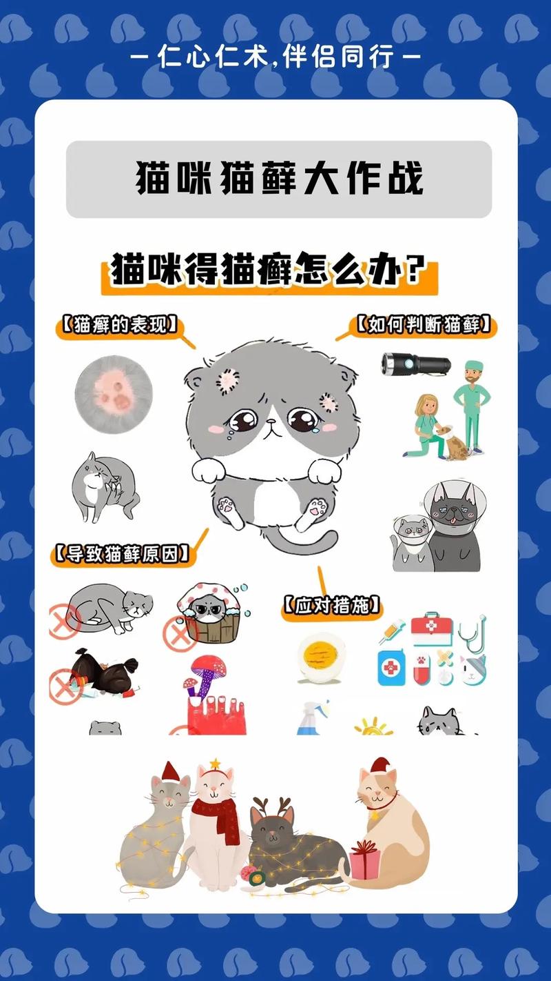 猫咪猫藓,猫咪猫藓用什么药最有效-第6张图片 猫咪猫藓,猫咪猫藓用什么药最有效-第6张图片