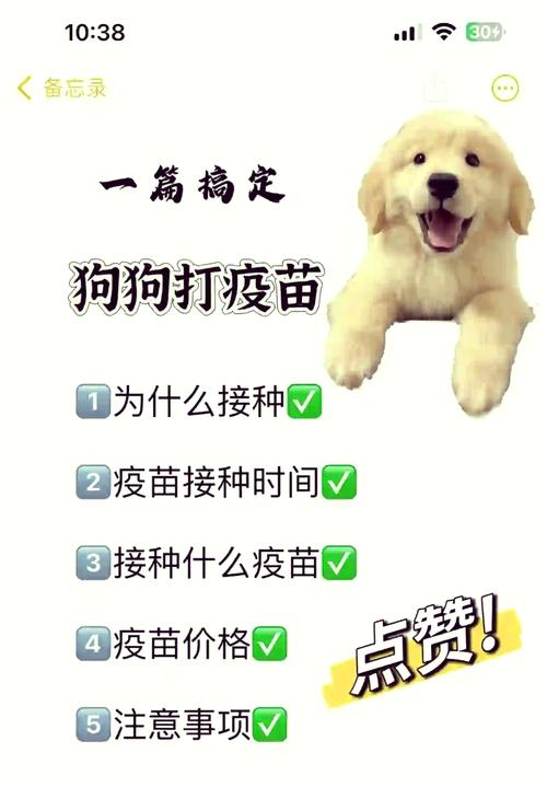 作为消费者“狗狗打疫苗去哪里打”你不能不知道-第8张图片 作为消费者“狗狗打疫苗去哪里打”你不能不知道-第8张图片