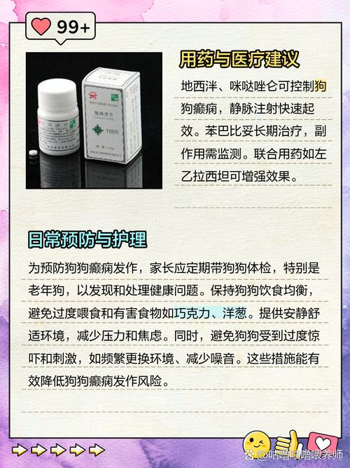 解析“狗狗癫疯怎么控制”你不知道的事-第1张图片 解析“狗狗癫疯怎么控制”你不知道的事-第1张图片