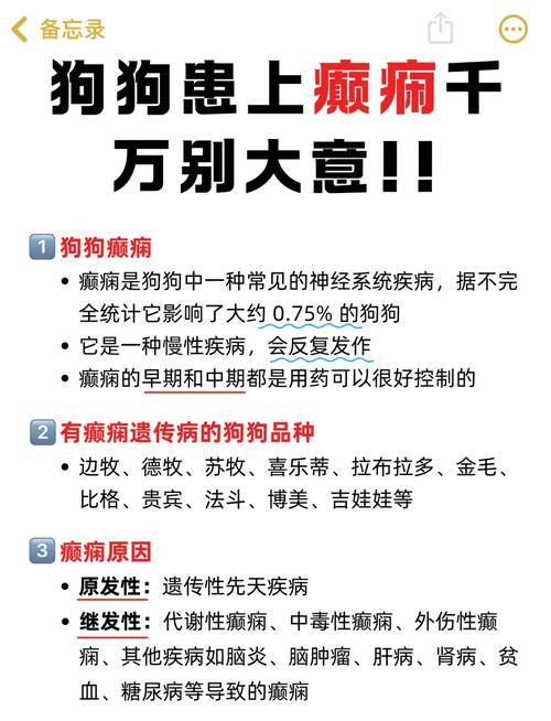 解析“狗狗癫疯怎么控制”你不知道的事-第2张图片 解析“狗狗癫疯怎么控制”你不知道的事-第2张图片
