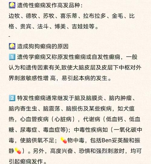 解析“狗狗癫疯怎么控制”你不知道的事-第5张图片 解析“狗狗癫疯怎么控制”你不知道的事-第5张图片