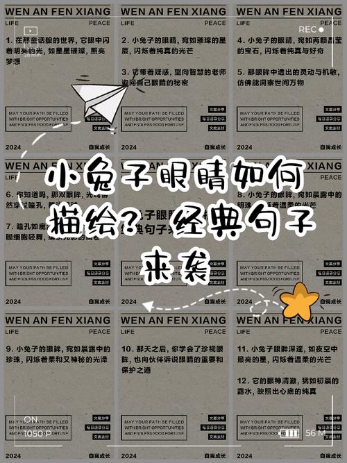 兔子的眼睛,兔子的眼睛有黑色的吗-第6张图片 兔子的眼睛,兔子的眼睛有黑色的吗-第6张图片