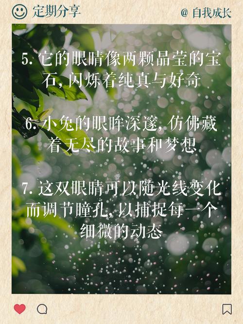 兔子的眼睛,兔子的眼睛有黑色的吗-第8张图片 兔子的眼睛,兔子的眼睛有黑色的吗-第8张图片