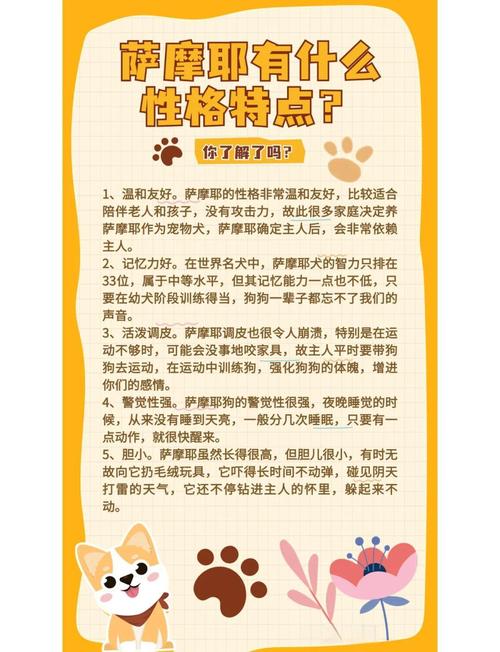 萨摩耶的五大特点-萨摩耶的特征和特点-第1张图片 萨摩耶的五大特点-萨摩耶的特征和特点-第1张图片