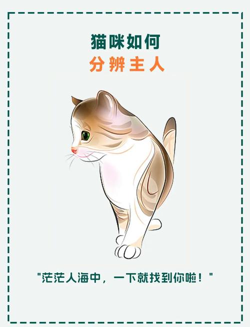 猫咪靠什么分辨主人/猫咪靠什么分辨主人是谁-第7张图片 猫咪靠什么分辨主人/猫咪靠什么分辨主人是谁-第7张图片