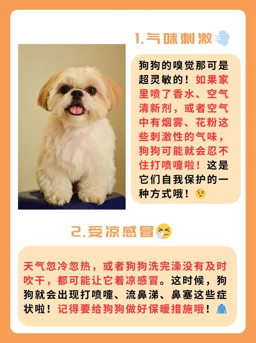 宠物狗-宠物狗的品种及费用表-第1张图片 宠物狗-宠物狗的品种及费用表-第1张图片