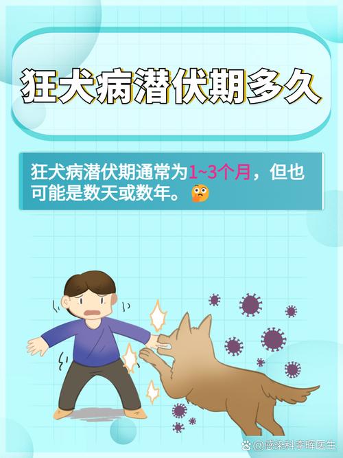 解析“狂犬病潜伏期”你不知道的事-第1张图片 解析“狂犬病潜伏期”你不知道的事-第1张图片