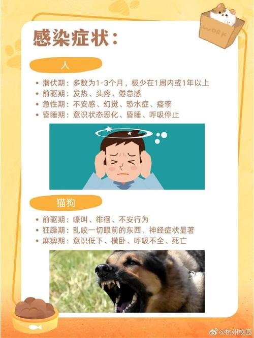解析“狂犬病潜伏期”你不知道的事-第3张图片 解析“狂犬病潜伏期”你不知道的事-第3张图片