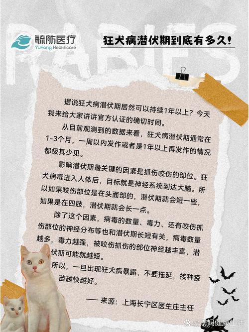 解析“狂犬病潜伏期”你不知道的事-第4张图片 解析“狂犬病潜伏期”你不知道的事-第4张图片