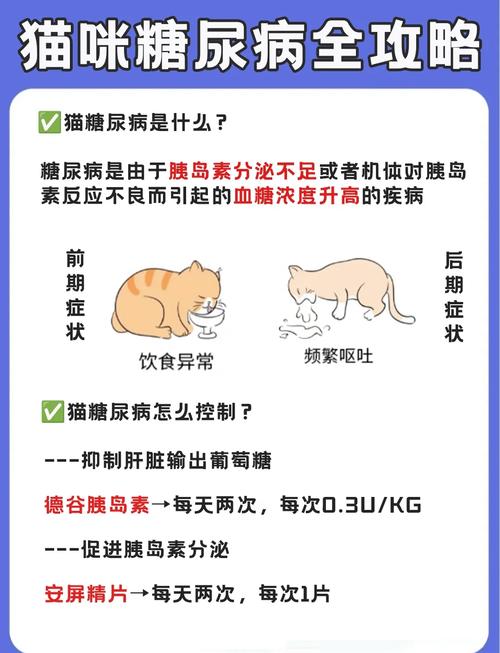 解析“猫咪低血糖症状表现”你不知道的事-第6张图片 解析“猫咪低血糖症状表现”你不知道的事-第6张图片