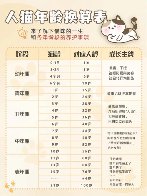 解析“猫咪寿命和计算方法”你不知道的事-第9张图片 解析“猫咪寿命和计算方法”你不知道的事-第9张图片