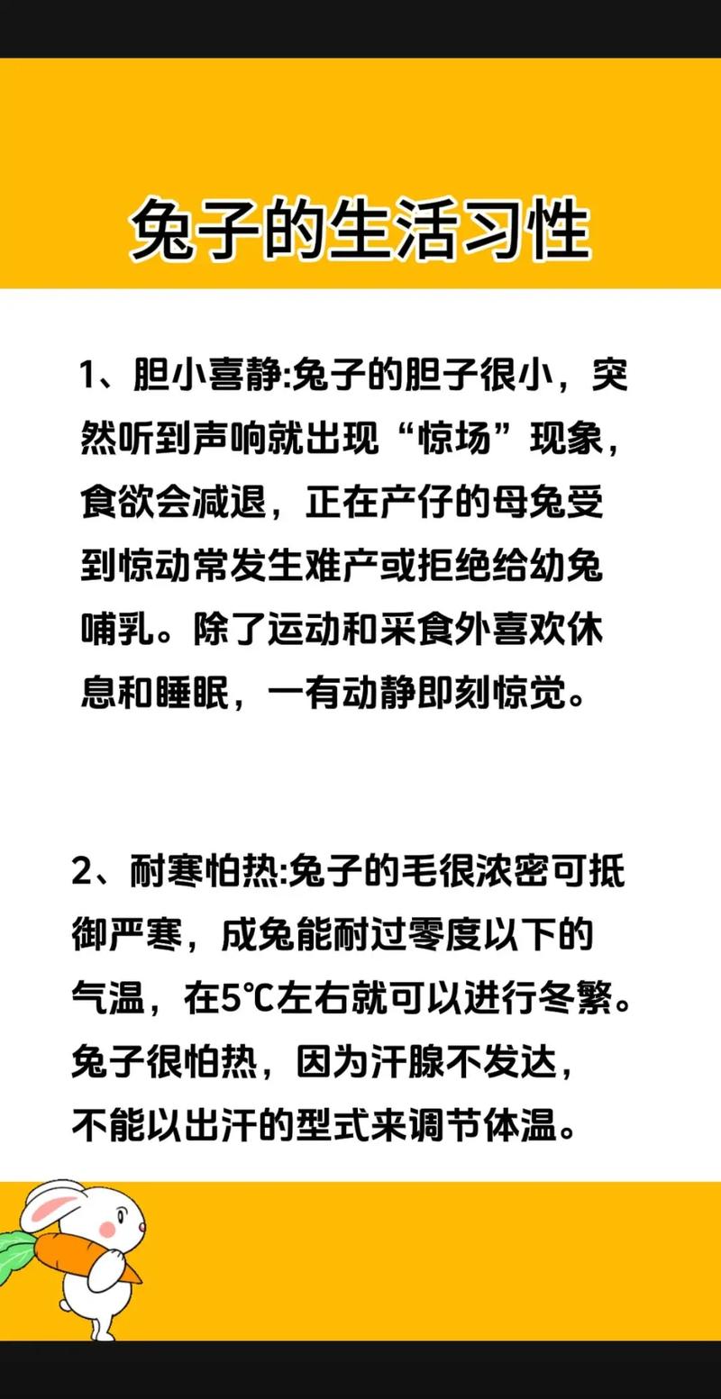 兔子生活习性-兔子的生活特征和生活方式