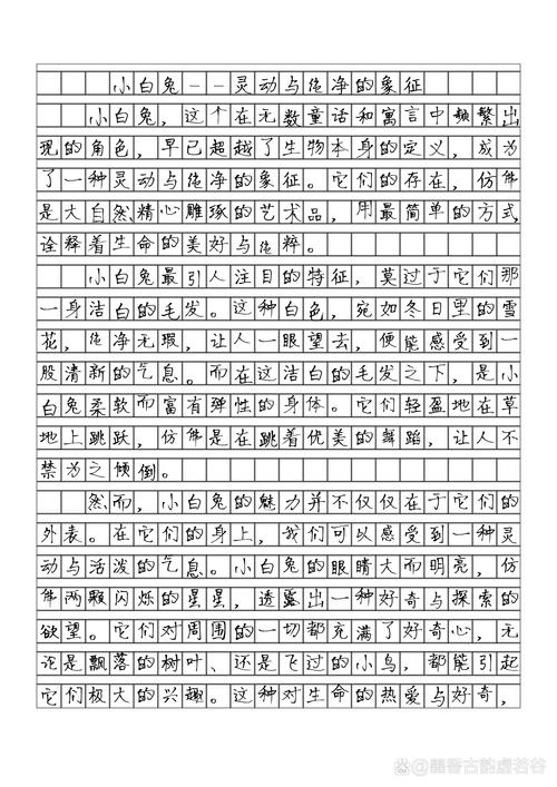 兔子生活习性-兔子的生活特征和生活方式-第8张图片 兔子生活习性-兔子的生活特征和生活方式-第8张图片