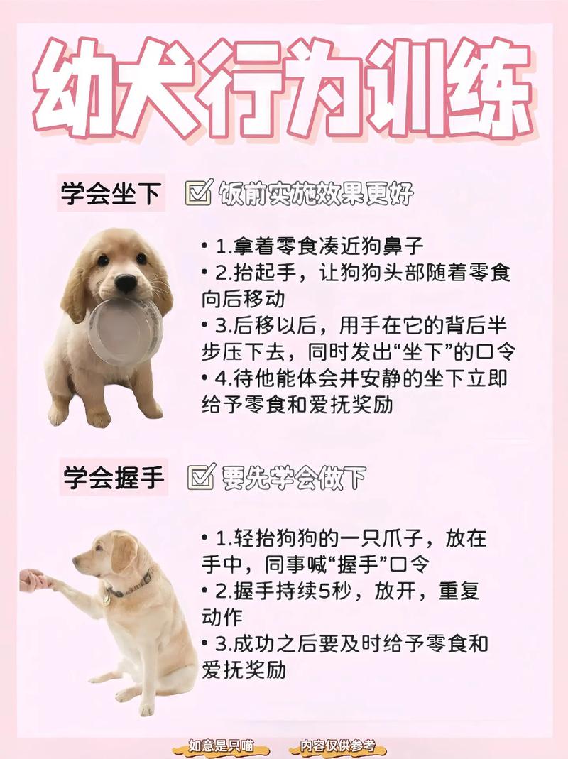解析“狗的本领”你不知道的事-第3张图片 解析“狗的本领”你不知道的事-第3张图片