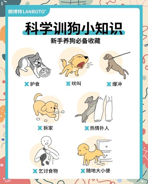 解析“狗的本领”你不知道的事-第6张图片 解析“狗的本领”你不知道的事-第6张图片