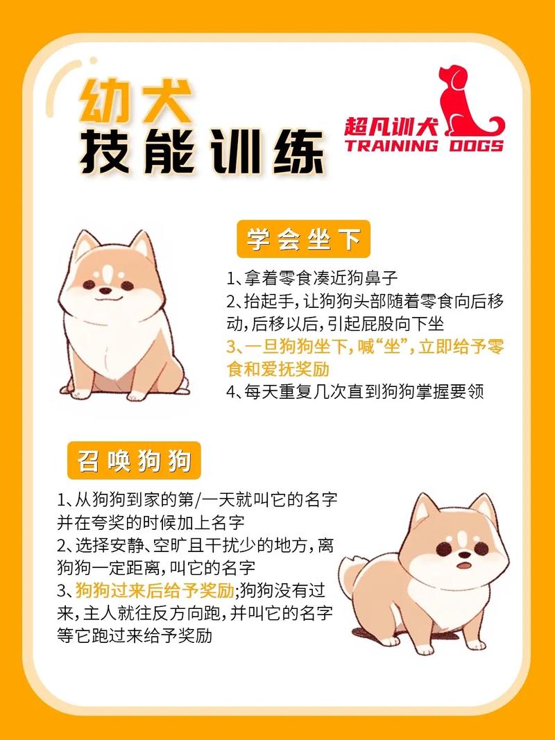解析“狗的本领”你不知道的事-第7张图片 解析“狗的本领”你不知道的事-第7张图片