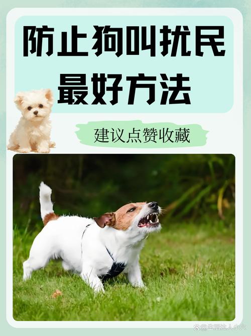 解析“狗狗乱叫扰民怎么办”你不知道的事-第2张图片 解析“狗狗乱叫扰民怎么办”你不知道的事-第2张图片