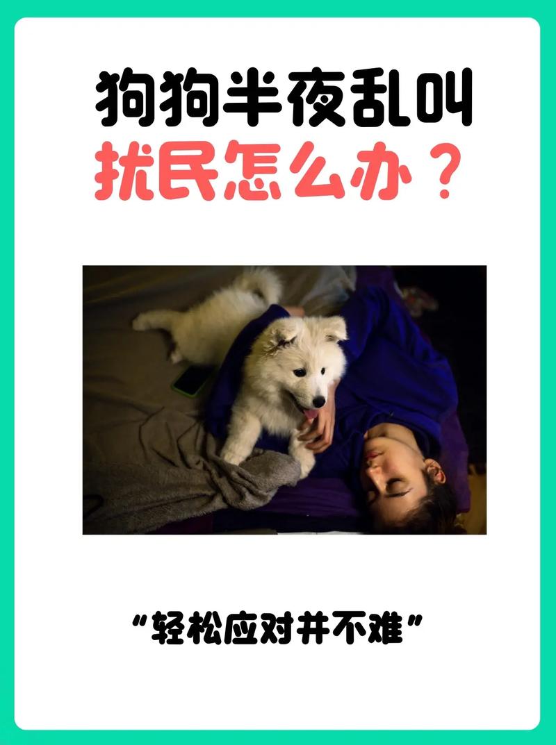 解析“狗狗乱叫扰民怎么办”你不知道的事-第5张图片 解析“狗狗乱叫扰民怎么办”你不知道的事-第5张图片