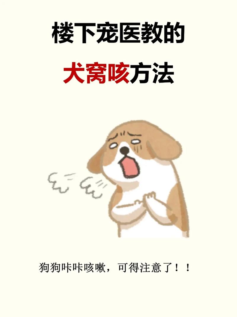 作为消费者“狗感冒了有哪些症状”你不能不知道-第2张图片 作为消费者“狗感冒了有哪些症状”你不能不知道-第2张图片