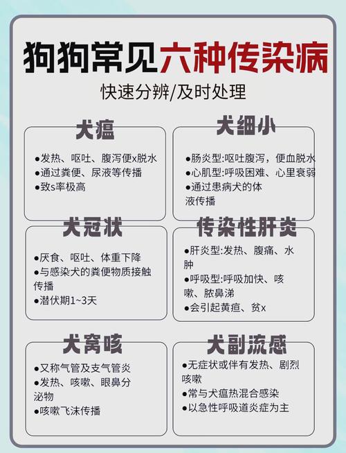 作为消费者“狗感冒了有哪些症状”你不能不知道-第4张图片 作为消费者“狗感冒了有哪些症状”你不能不知道-第4张图片