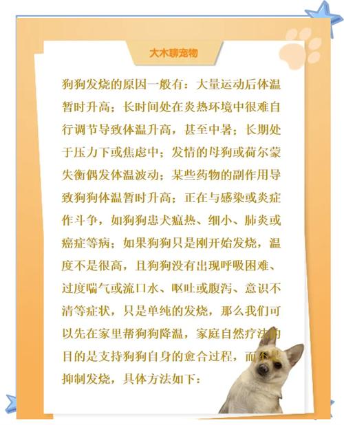 狗狗发烧怎么退烧-狗狗发烧怎么退烧最快-第1张图片 狗狗发烧怎么退烧-狗狗发烧怎么退烧最快-第1张图片