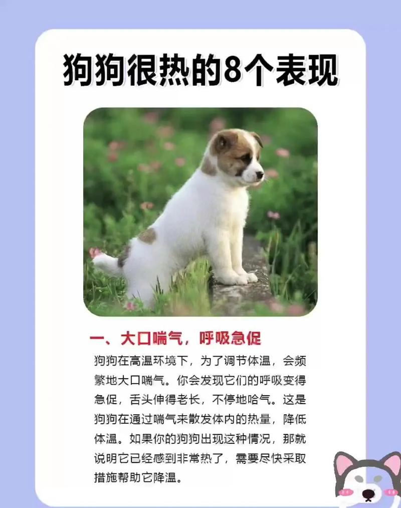 狗狗发烧怎么退烧-狗狗发烧怎么退烧最快-第2张图片 狗狗发烧怎么退烧-狗狗发烧怎么退烧最快-第2张图片