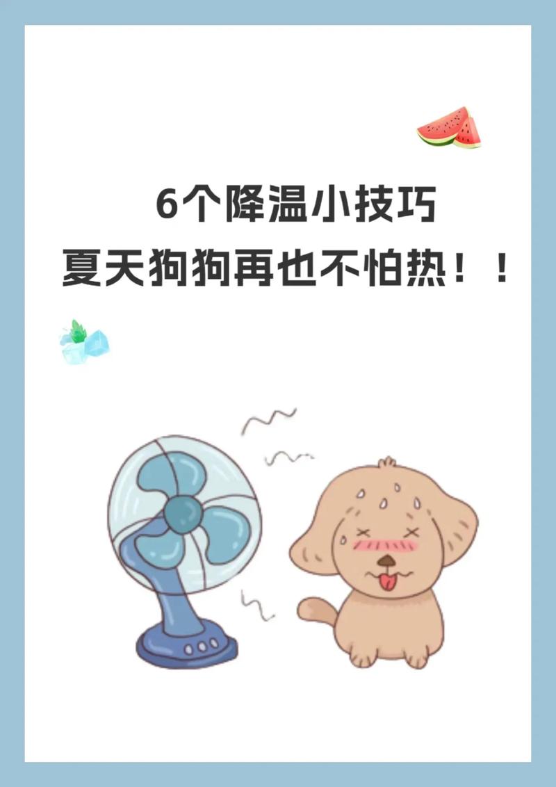 狗狗发烧怎么退烧-狗狗发烧怎么退烧最快-第3张图片 狗狗发烧怎么退烧-狗狗发烧怎么退烧最快-第3张图片