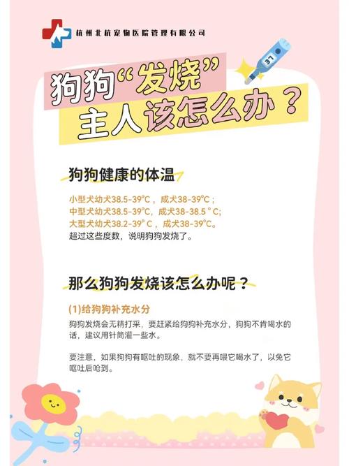 狗狗发烧怎么退烧-狗狗发烧怎么退烧最快-第5张图片 狗狗发烧怎么退烧-狗狗发烧怎么退烧最快-第5张图片