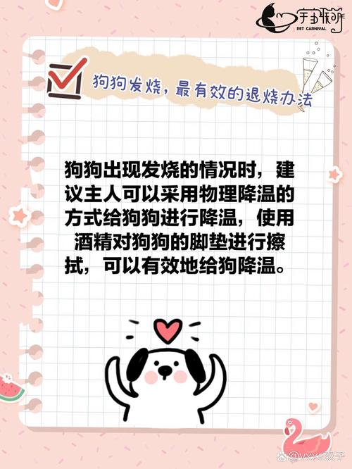 狗狗发烧怎么退烧-狗狗发烧怎么退烧最快-第8张图片 狗狗发烧怎么退烧-狗狗发烧怎么退烧最快-第8张图片