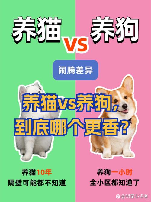 家里养猫好还是狗好,家里养狗好还是养猫好说出你的观点-第2张图片 家里养猫好还是狗好,家里养狗好还是养猫好说出你的观点-第2张图片