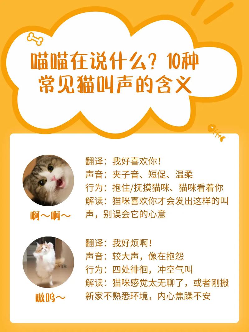 作为消费者“啊呜啊呜”你不能不知道-第7张图片 作为消费者“啊呜啊呜”你不能不知道-第7张图片