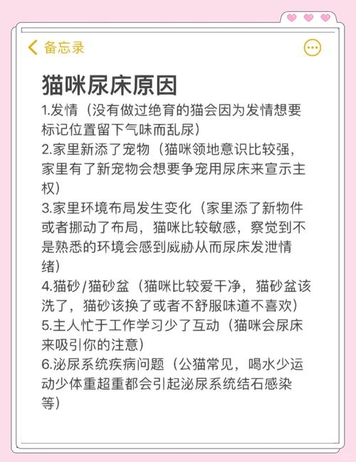 猫尿床/猫尿床后运气要变好了-第1张图片 猫尿床/猫尿床后运气要变好了-第1张图片